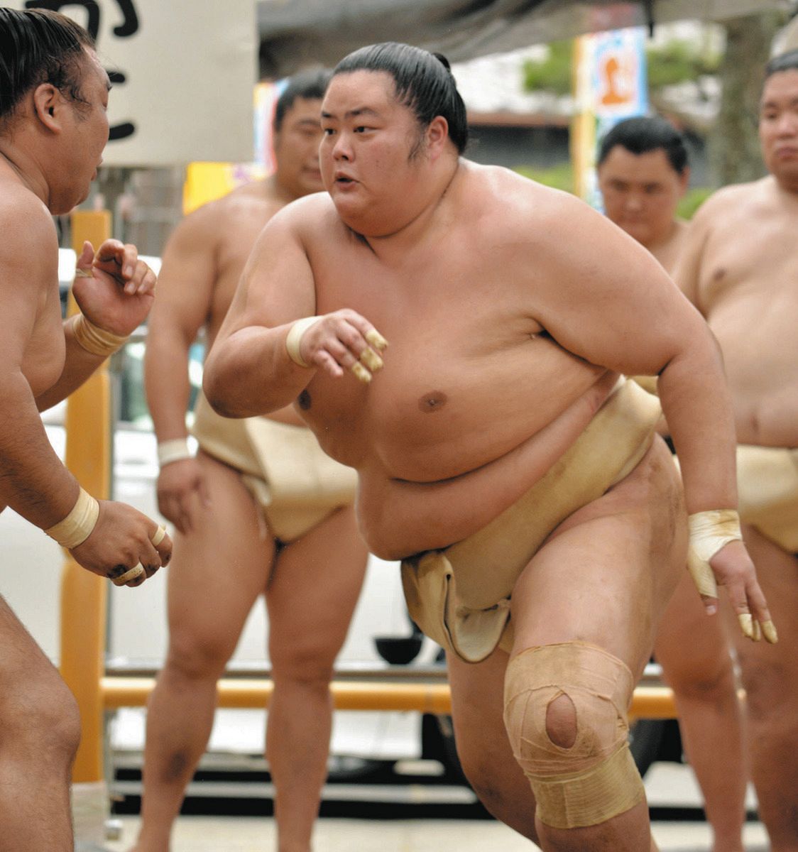 大相撲　ステッカー　大の里　若元春　琴櫻 琴櫻 | 大相撲公式ファンクラブ