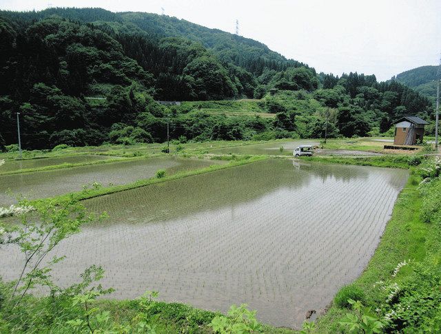 中山間地こそ最適舞台 清い山の水 田から川へ海へ 北陸中日新聞web 中山間地こそ最適舞台 清い山の水 田から川へ海へ 北陸中日新聞web