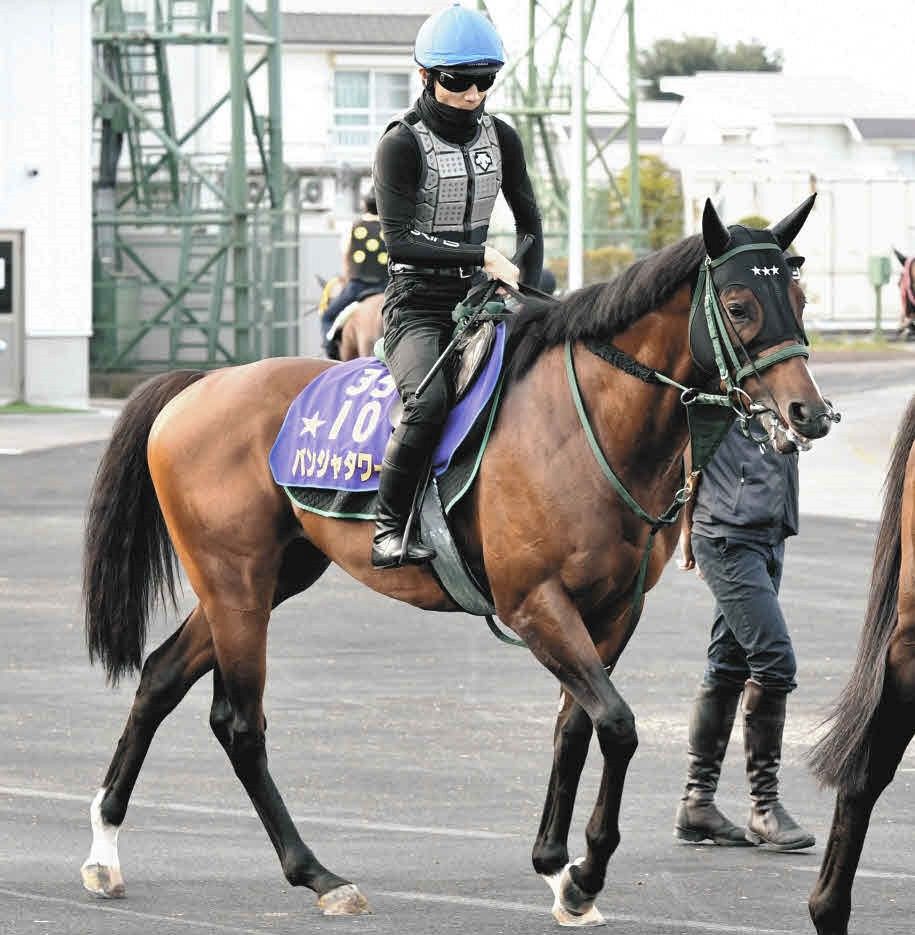 有力馬の動向】NHKマイルC優勝馬パンジャタワー鞍上はC・デムーロ騎手
