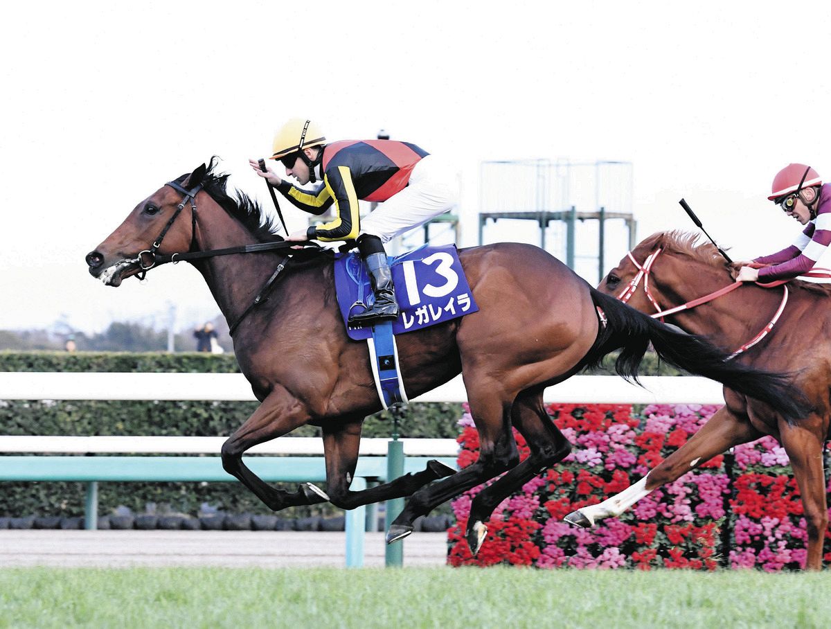 ホープフルS】ノーザンファーム生産馬が4年連続V 吉田勝己代表「また