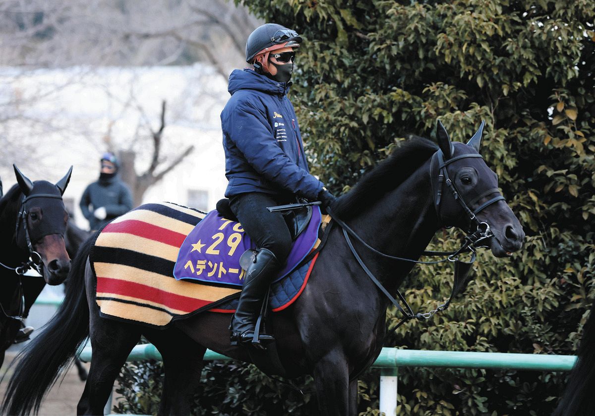 京都記念】戦列復帰する昨年の天皇賞・春覇者ヘデントール 「京都