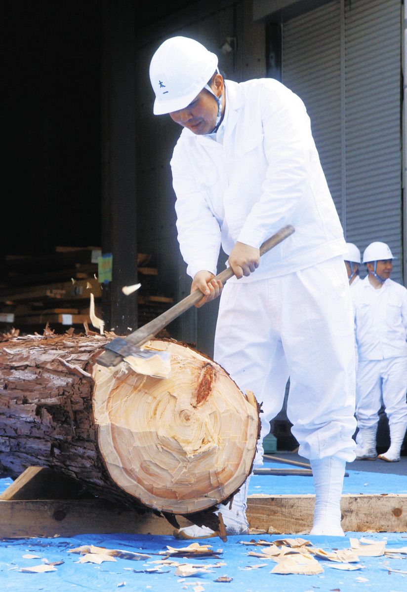 樹齢約300年のヒノキに3方向から斧 伊勢神宮の式年遷宮に向け、長野で