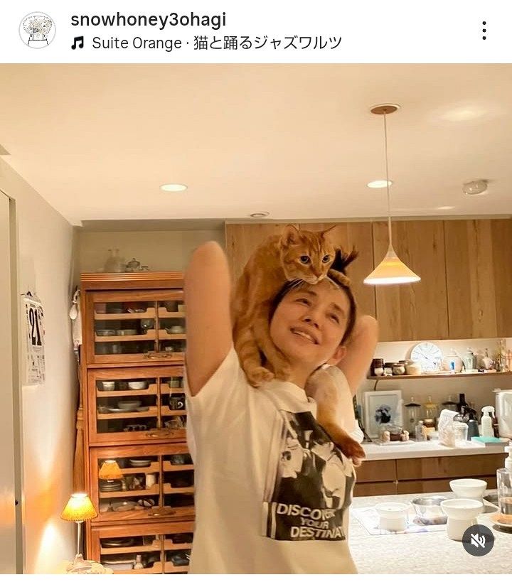 猫との楽しい毎日を共有する方法