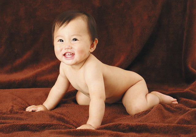 生き生き赤ちゃん パチリ 金沢の赤土さん 月末まで撮影会 北陸中日新聞web