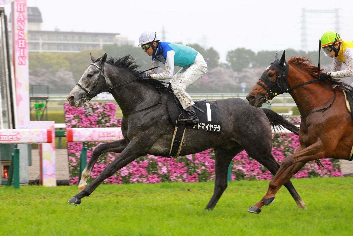 菊花賞3着馬が5カ月ぶり実戦で快勝 武豊「前走より良くなっ 菊花賞3着馬が5カ月ぶり実戦で快勝 武豊「前走より良くなっ