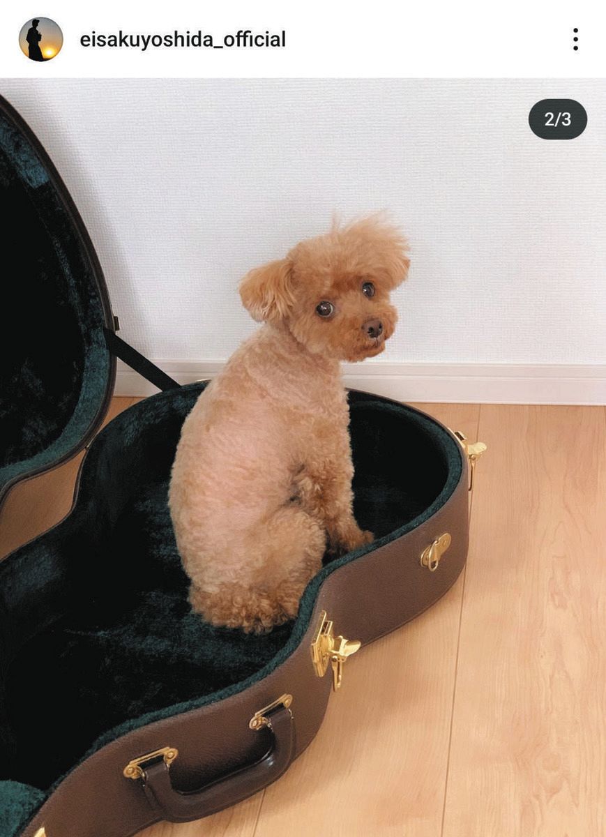 ◇吉田栄作の愛犬「先月15歳になった…」【写真】：中日スポーツ・東京