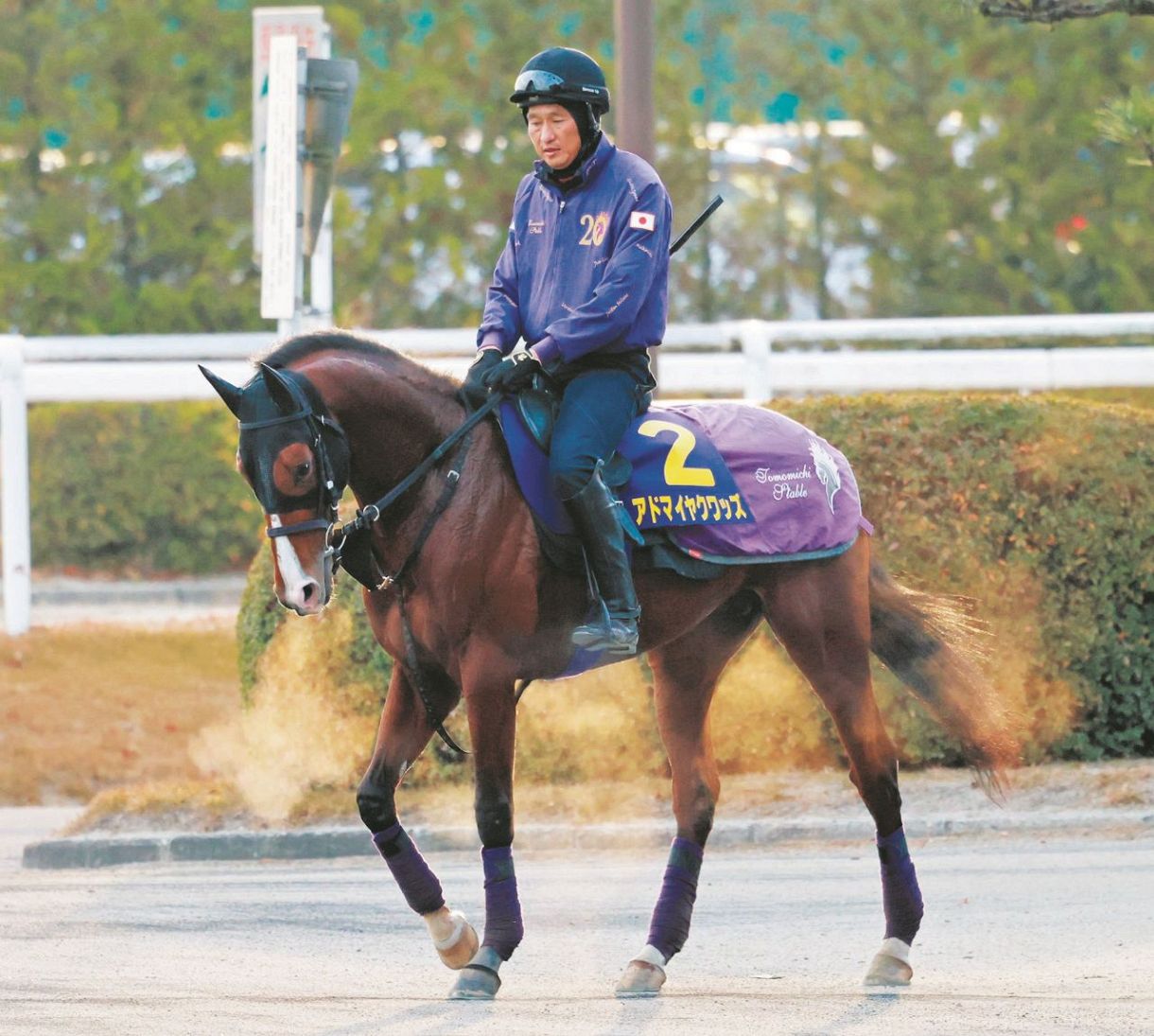 朝日杯FS】アドマイヤクワッズ7枠12番に友道師「ハナに行きそうな馬が