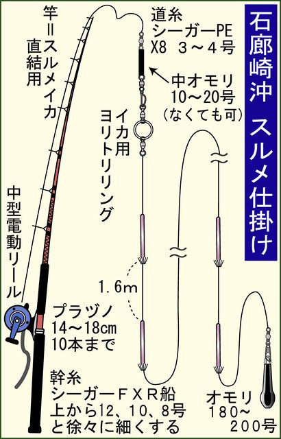 石廊崎沖ブランドスルメ絶好調 大瀬港 秀丸 から出船 中日スポーツ 東京中日スポーツ