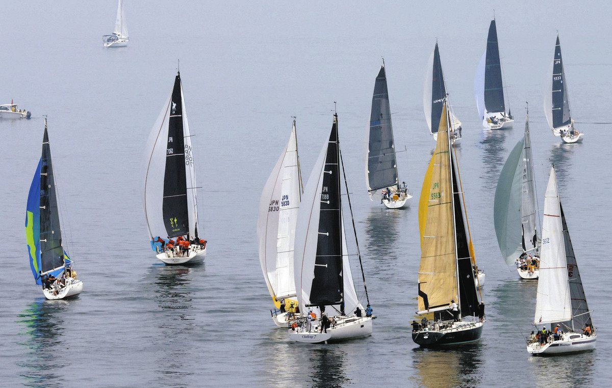 国内最大級のヨットレース「エリカカップ」が中止に 濃霧の影響で：中