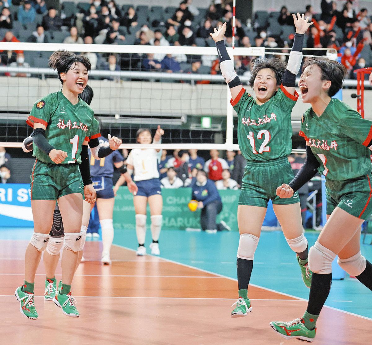 福井工大福井 バレーボール ハーフパンツ 福井工大福井 バレーボール