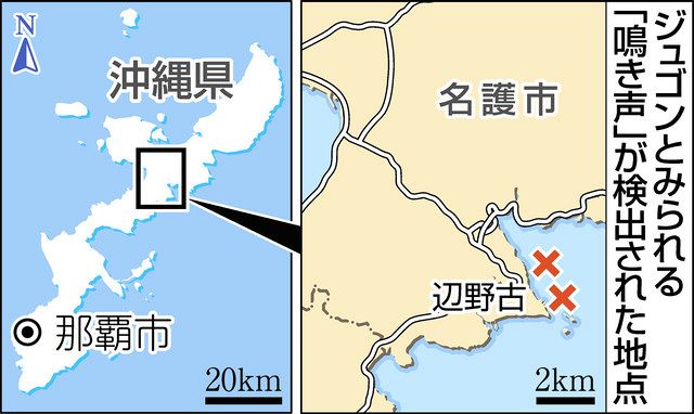 日本画　逆襲のジュゴン　沖縄　辺野古　琉球 日本画 逆襲のジュゴン 沖縄 辺野古 琉球