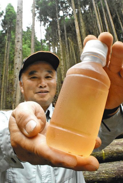 完成した木のお茶の試作品 