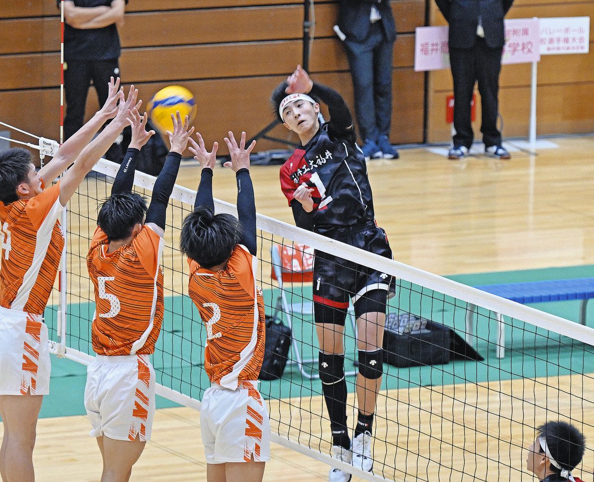 工大福井が男子V7、女子V4 春の高校バレー県代表決定戦：中日新聞Web