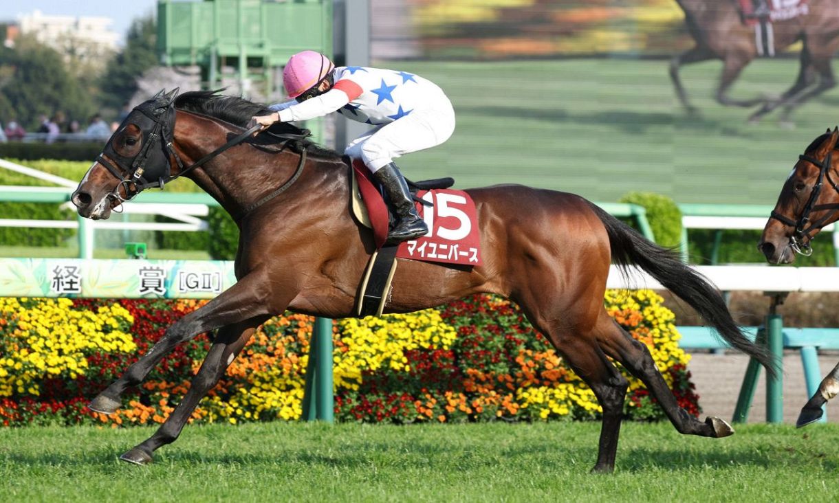 宝塚記念に出走したマイユニバース急死 横山典弘騎手が4角付近で下馬し