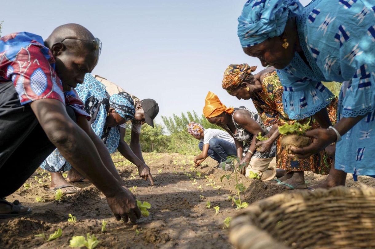 　アフリカで進む再生型農業（（Ｃ）Ｔｏｄｄ　Ｂｒｏｗｎ／ＵＮＥＰ）