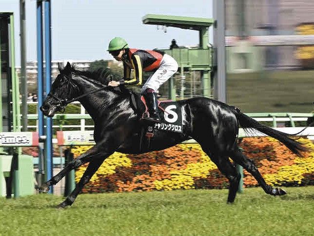 中山9R・山藤賞】クロワデュノールの全弟チャリングクロス鋭く抜け出し