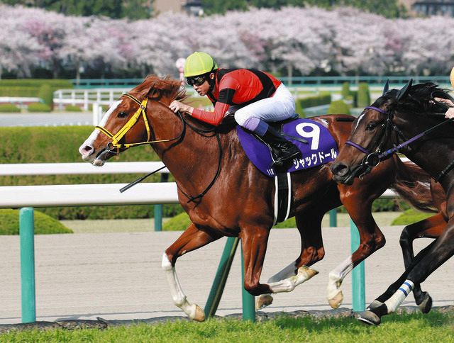 安田記念で初マイル戦に挑むジャックドール「宝塚記念に行くより