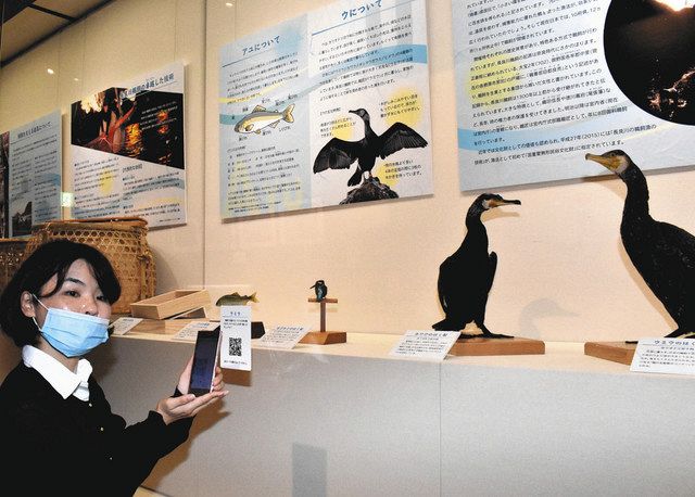 長良川鵜飼の魅力や面白さ知って ミュージアムで特別展示 中日新聞web