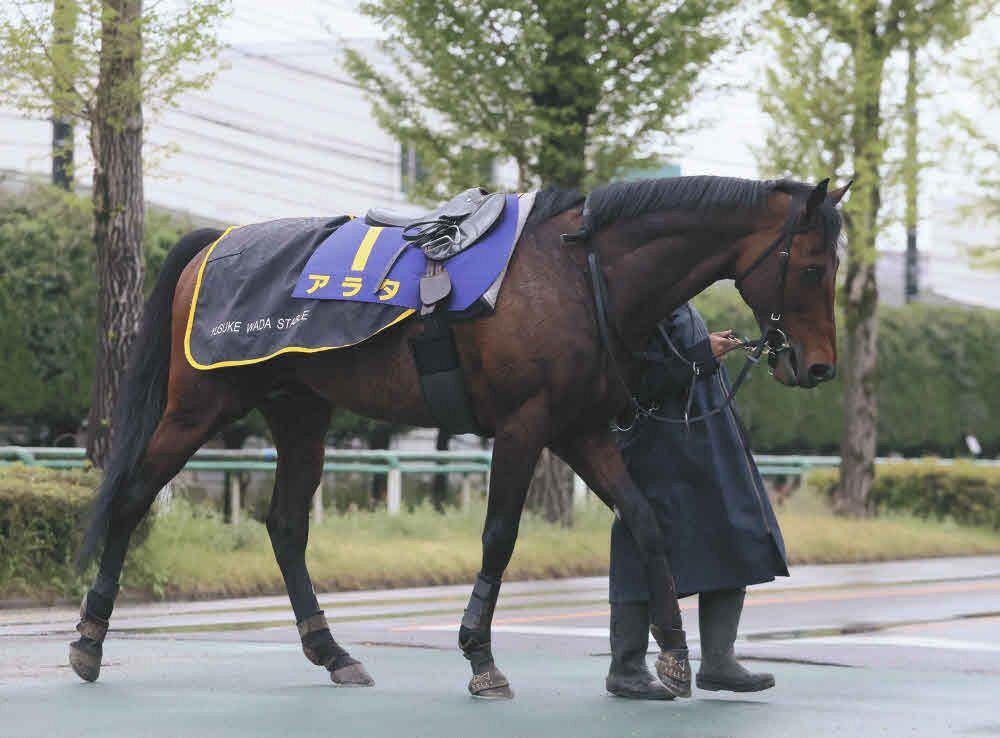 札幌記念】低評価13番人気覆す激走アラタ3着に食い込む 浜中俊「一発