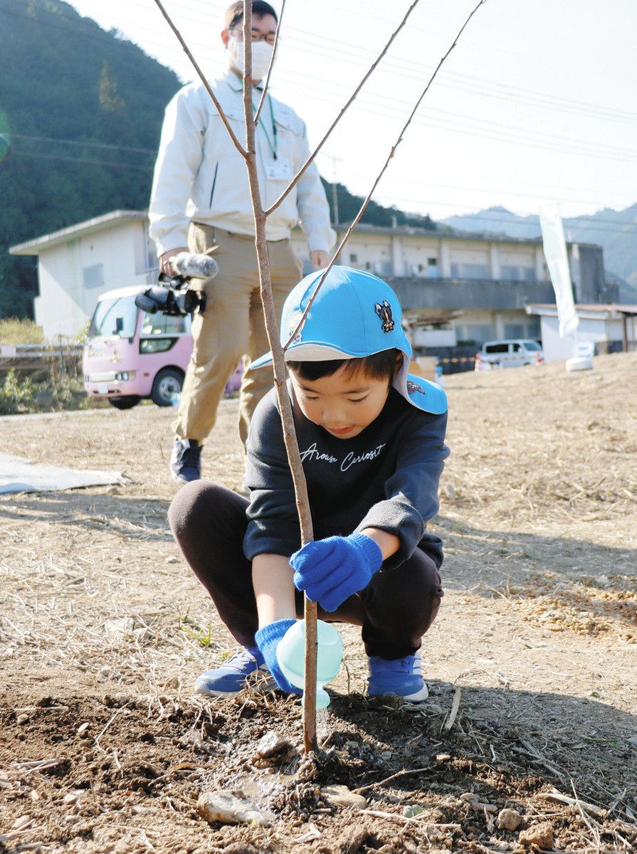 河津桜、大きくなあれ 大台の園児が苗木植樹：中日新聞Web