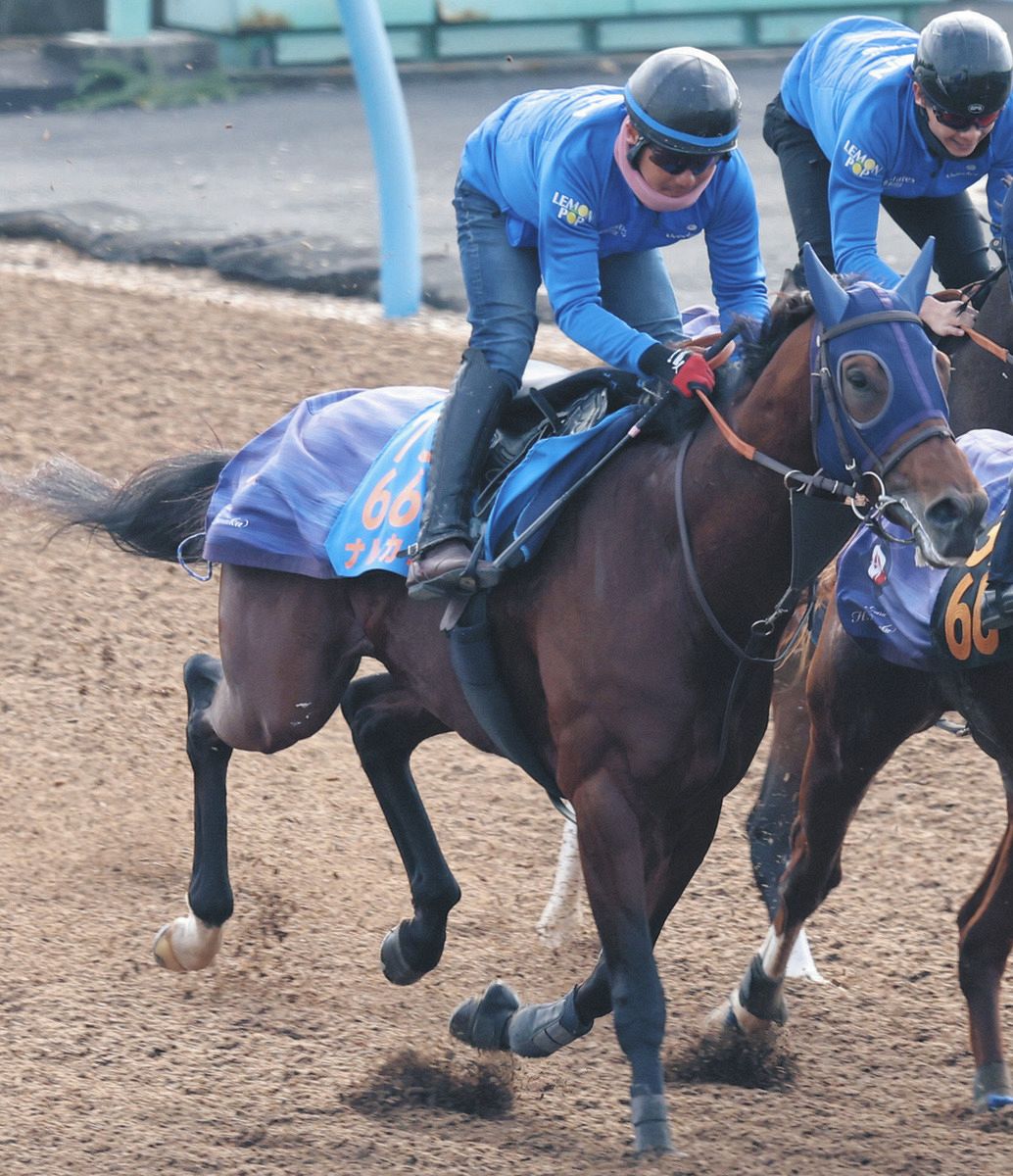 チャンピオンズC】上昇一途の3歳馬ナルカミ 田中博師「自分自身との