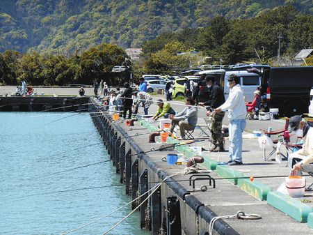 静岡市用宗港をウォッチング ６月からの夏の有望ポイントを紹介 中日スポーツ 東京中日スポーツ