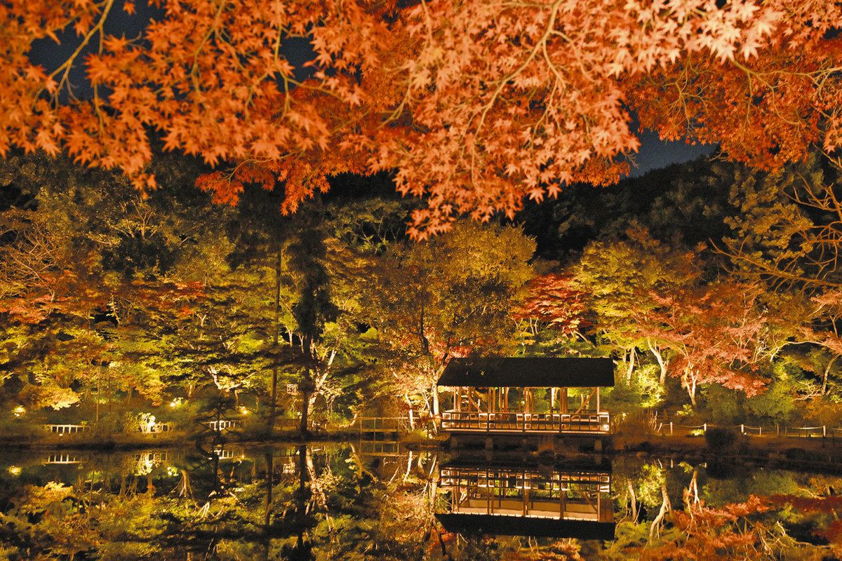 名古屋随一の紅葉の名所、東山動植物園のモミジをライトアップ 22日