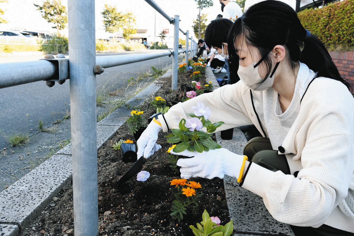 キャンパス前の道路沿いに花を植える学生＝いずれも瑞穂市穂積で