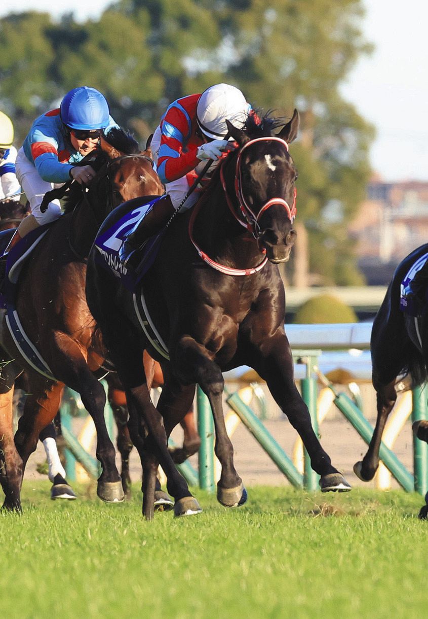 昨年顕彰馬選定での”アーモンドアイ落選事件” 心情的にはもっともだが