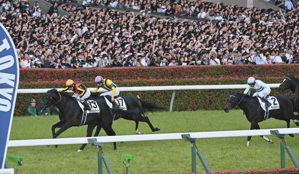 日本ダービー】「勝ったから言えることですが…」クロワデュ