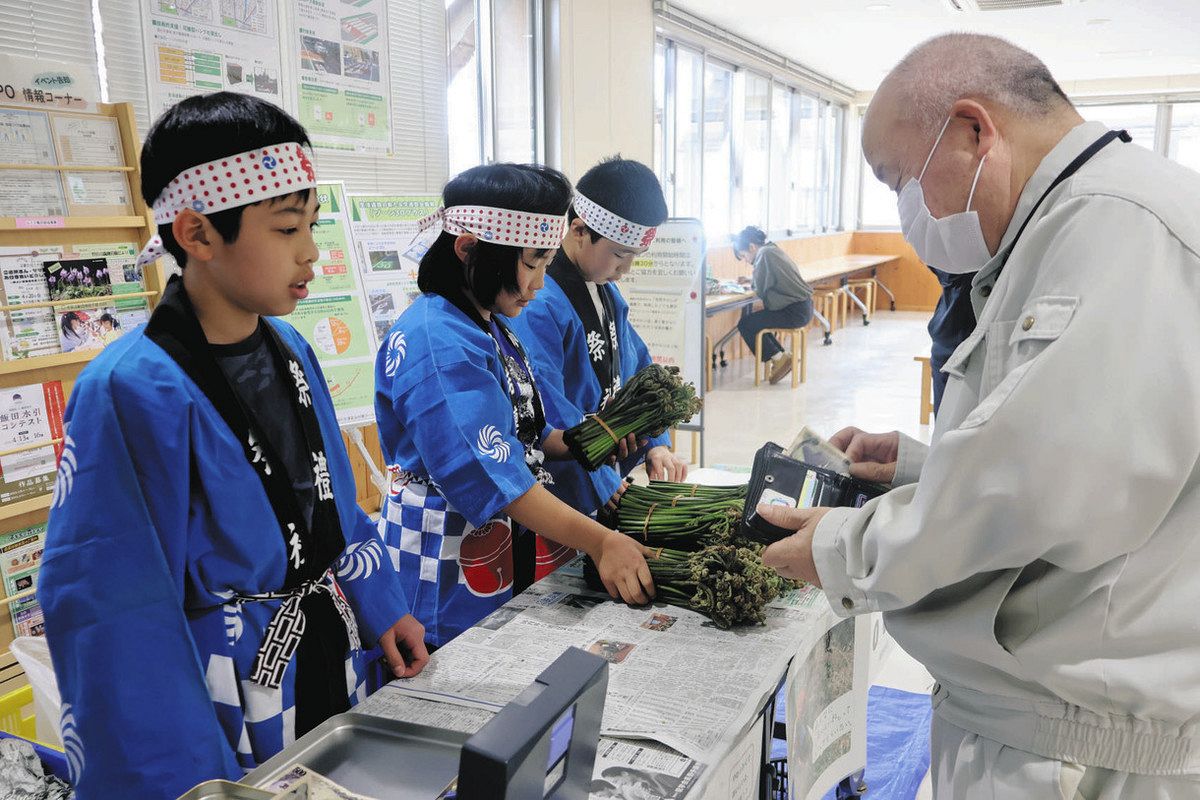 旬のワラビどうですか 飯田・千栄小5年生、収穫し市役所で販売：中日 