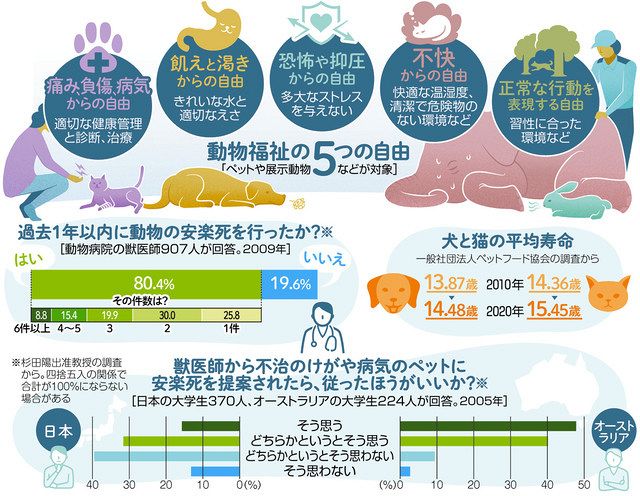飼育動物の安楽死 前編 条件はどうあるべきか 中日新聞web