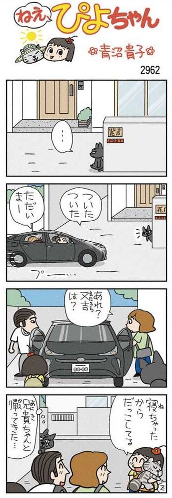 ねえ、ぴよちゃん：中日新聞Web