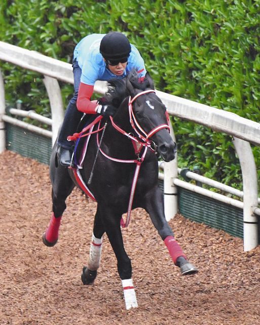 コントレイル無傷の2冠へ万全リハ 最終追い切り 真っすぐ駆け上がって非常に良かった 矢作師もご満悦 中日スポーツ 東京中日スポーツ