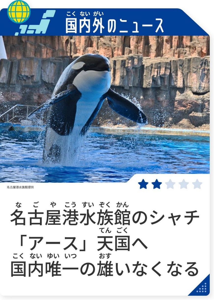 シャチ「アース」 天国（てんごく）へ：中日新聞Web