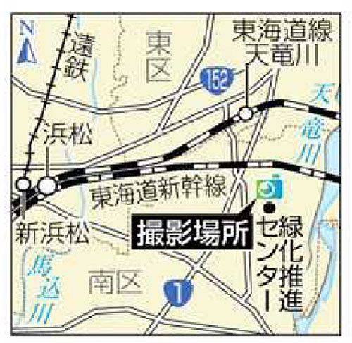 草木 2 ローズマリー 天を向く強き 聖母 中日新聞しずおかweb 草木 2 ローズマリー 天を向く強き 聖母 中日新聞しずおかweb