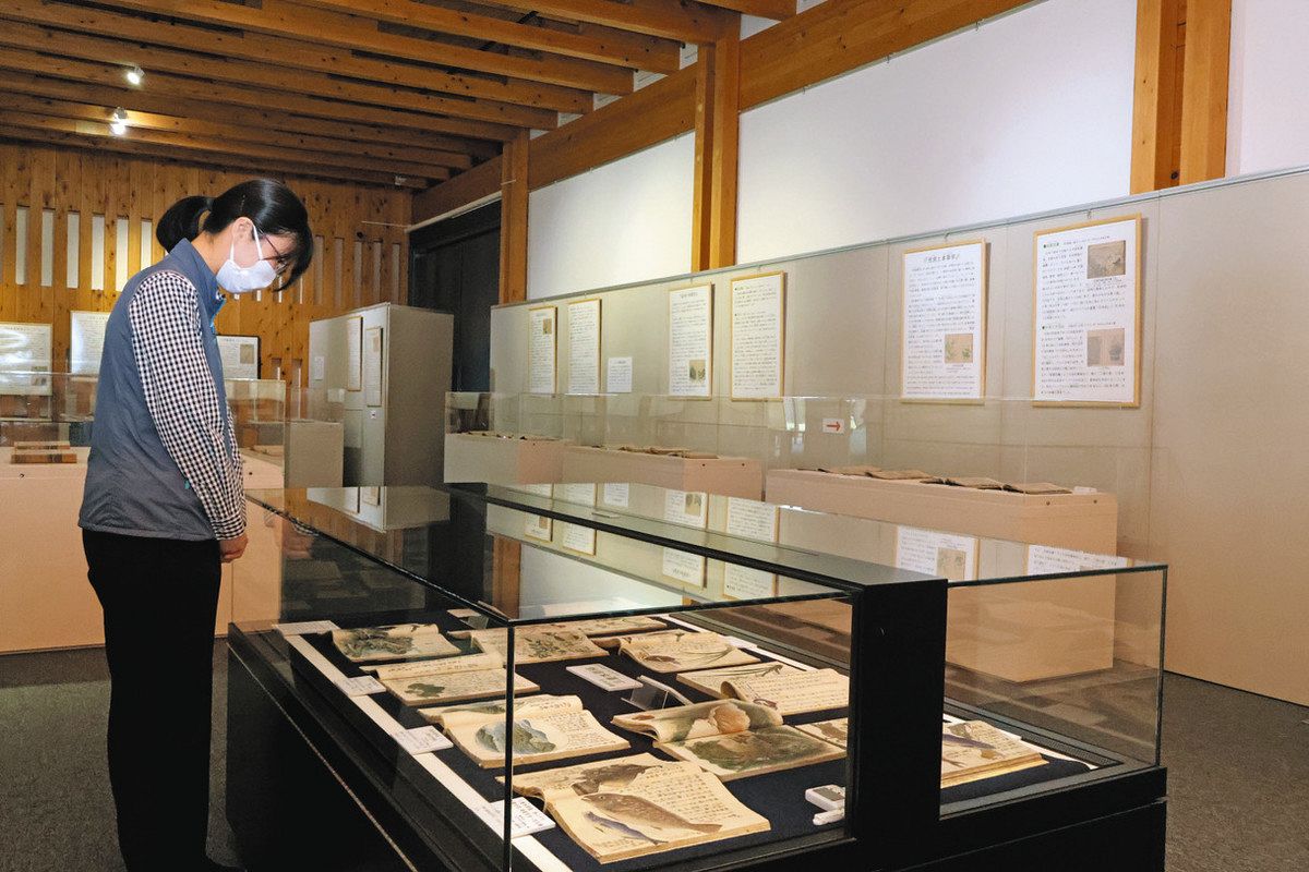 江戸時代の本草学の書物などが並ぶ会場＝尾鷲市の県立熊野古道センターで
