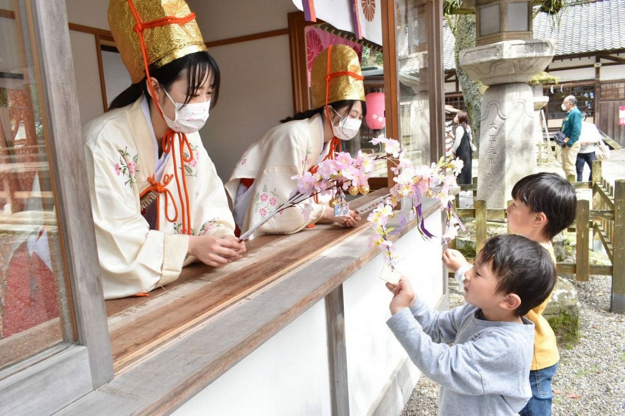 桜の名所で開運願う 金崎宮（敦賀市）：日刊県民福井Web