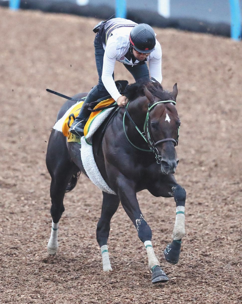 末脚キレキレの追い切り ザダルは持ったまま先着 直線ばらける最終週の馬場は望むところ 重賞連勝へ待ったなし 新潟記念 中日スポーツ 東京中日スポーツ