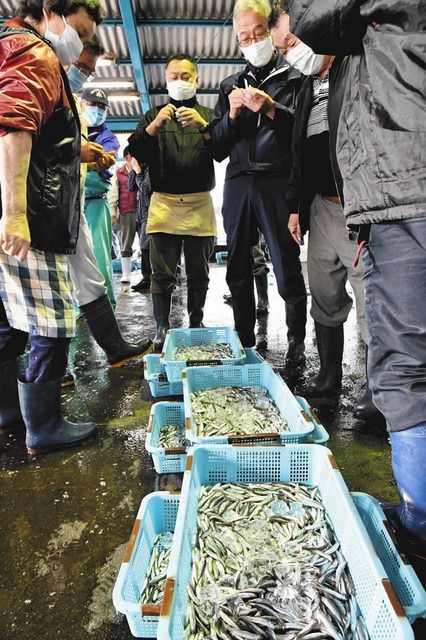 浜名湖の恵み 角立て漁初競り 中日新聞しずおかweb