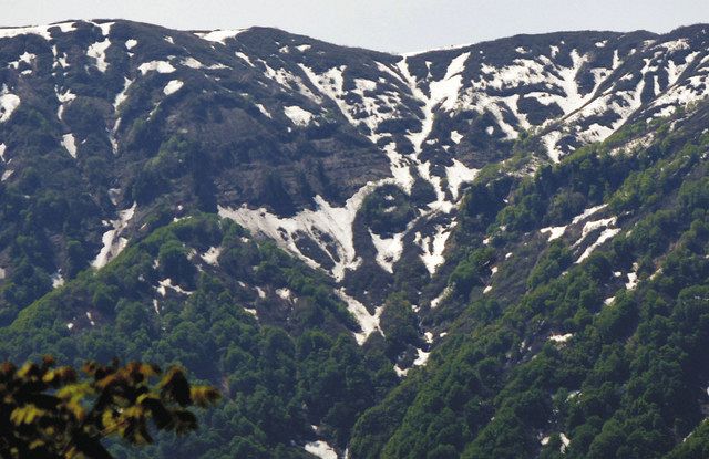 人形山の中腹で、手をつないだ姉妹のように見える雪形＝南砺市相倉で 