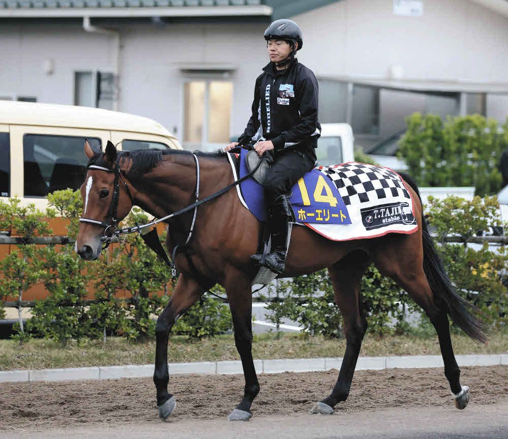 天皇賞春・枠順決定】内枠理想も…ホーエリート8枠14番に田島師「決め