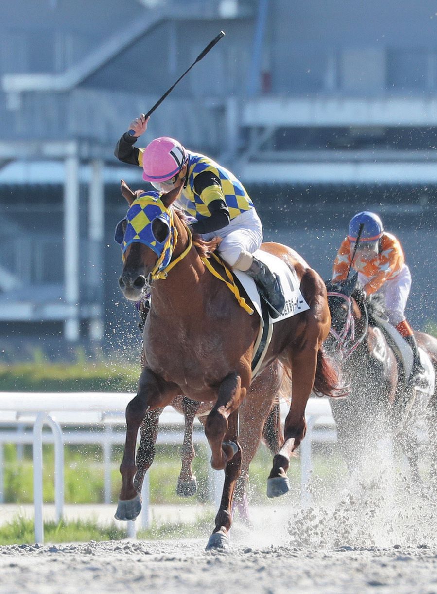 東海ダービーを制したタニノタビト＝6月7日