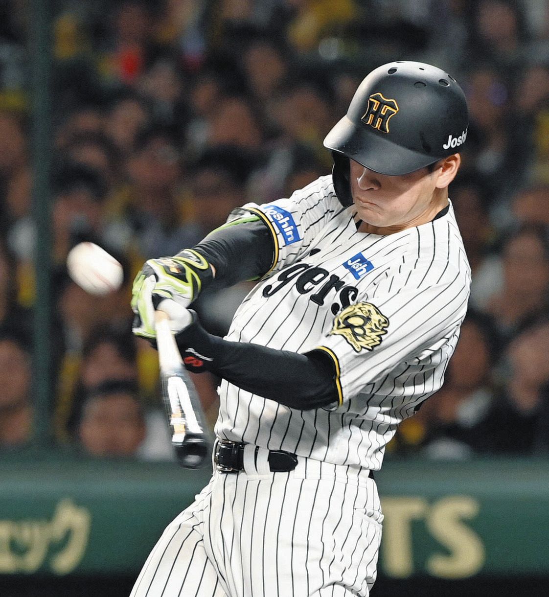 髙寺望夢 チャンピオン レプリカ ユニフォーム Mサイズ 阪神タイガース