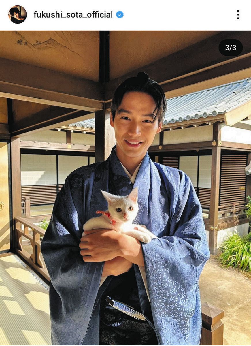 ◇福士蒼汰、ネコに「とろけてる」オフショット『大奥Season2』【写真