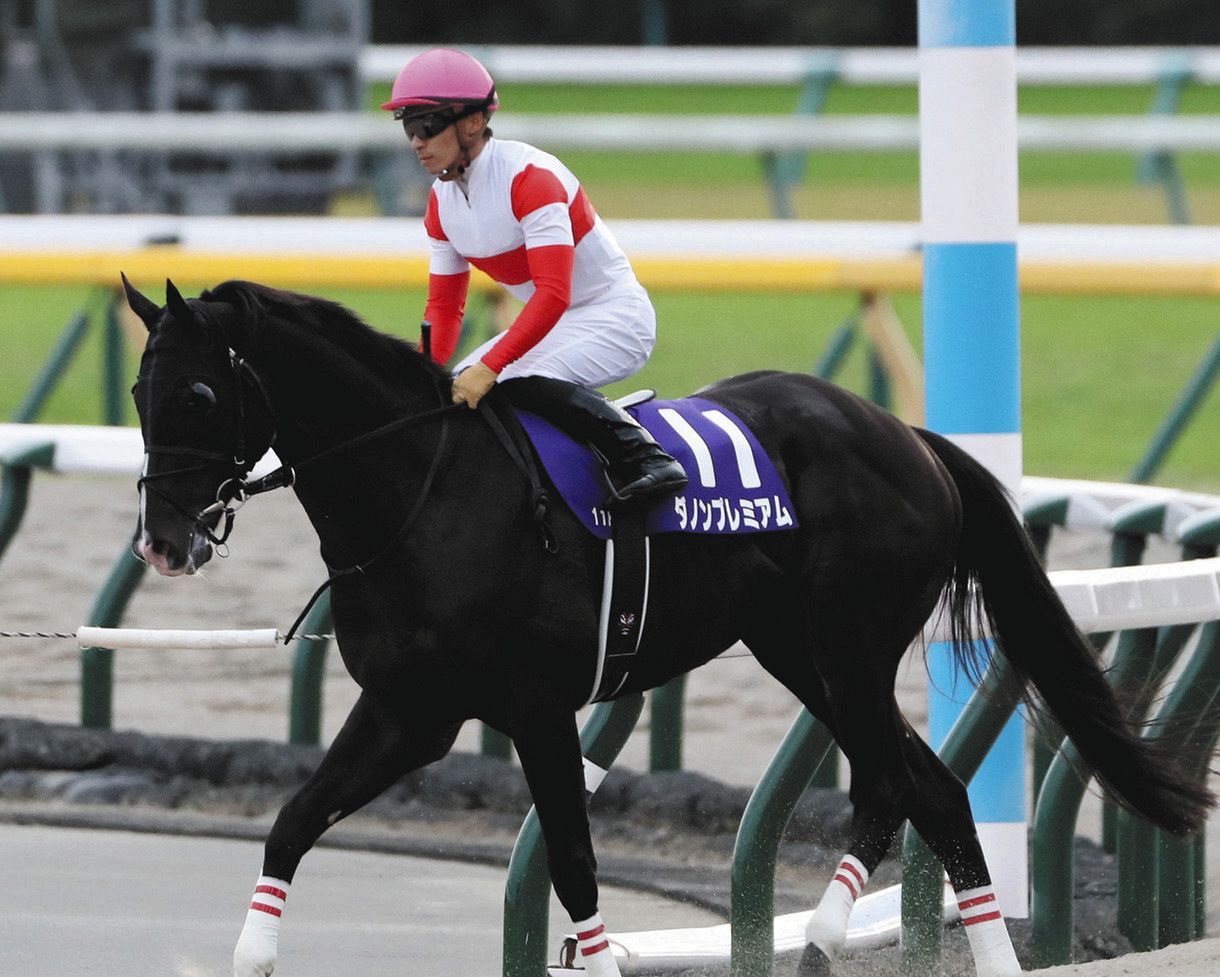 ダノンプレミアムに猿橋助手 やるべきことこなして変わらず順調 香港c 中日スポーツ 東京中日スポーツ