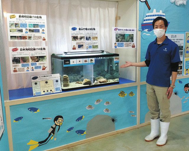 隠岐の海 調べました 魚津水族館 結果を展示：北陸中日新聞Web