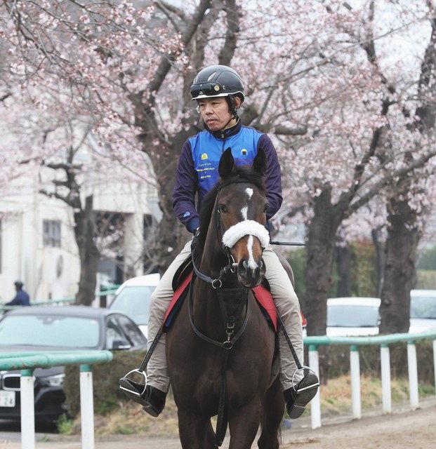 桜花賞 ２歳女王サークルオブライフは８枠16番 ナミュールは大外８枠18番 枠順決まる 中日スポーツ 東京中日スポーツ