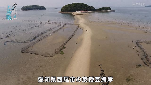 夕刊鳥瞰> 愛知県西尾市の東幡豆海岸:中日新聞Web 夕刊鳥瞰> 愛知県西尾市の東幡豆海岸:中日新聞Web