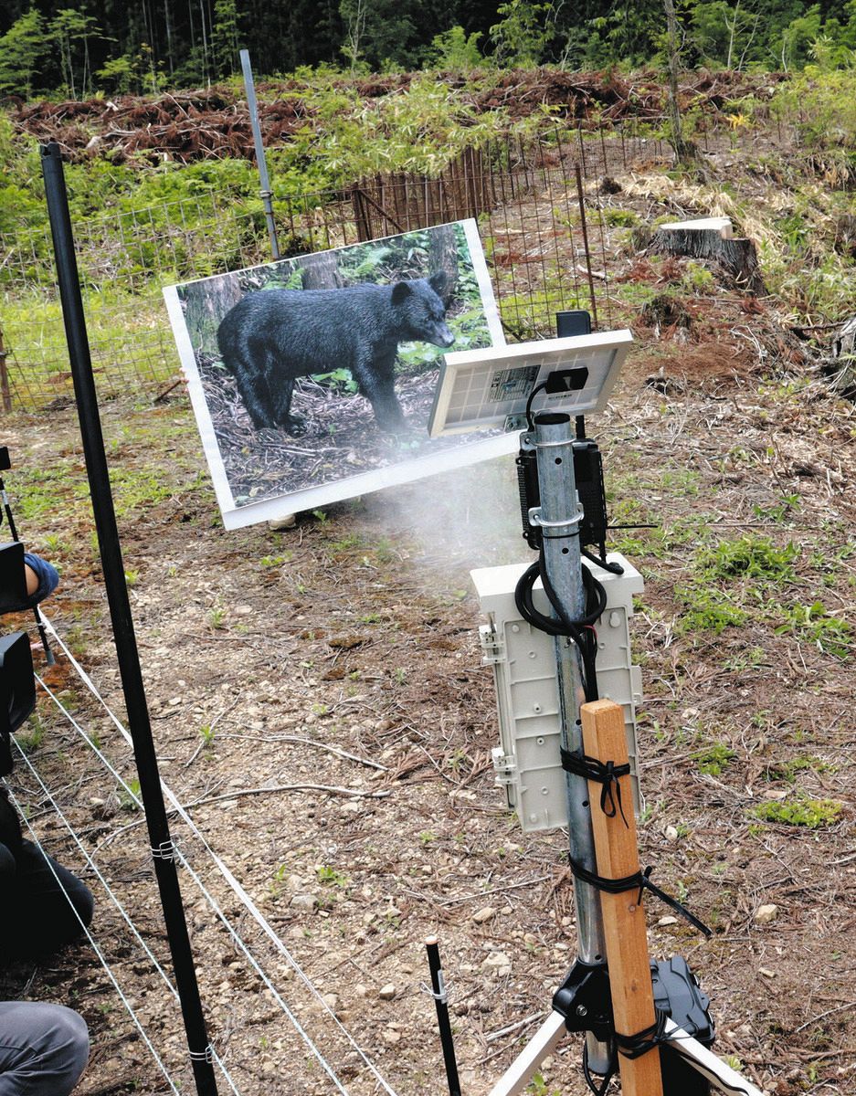 AIがクマと判定→クマスプレーを自動で噴射 ツキノワグマ対策で岐阜県